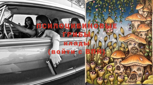 спайс Алексин
