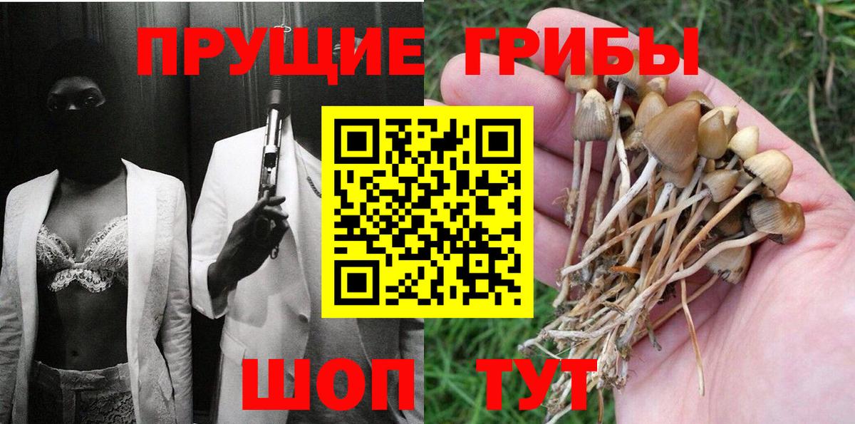 Псилоцибиновые грибы прущие грибы Южно-Сахалинск