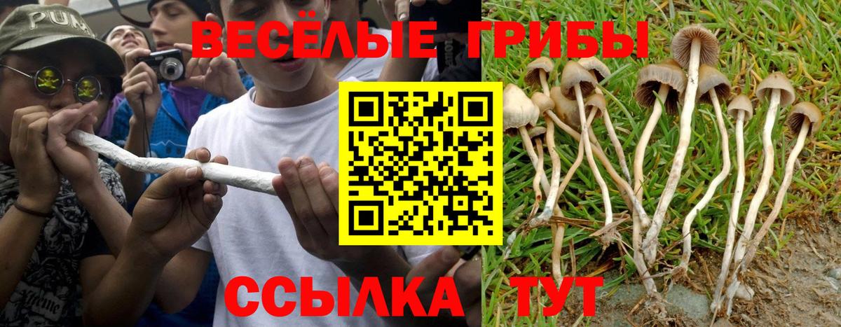 Псилоцибиновые грибы Psilocybe  Вход с VPN  Южно-Сахалинск  Псилоцибиновые грибы ЛСД 